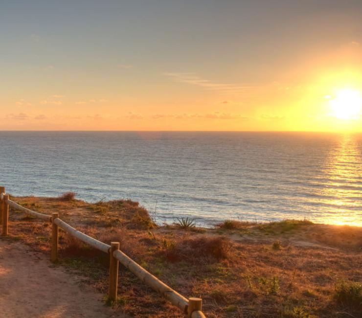 Torrey Pines Reserves