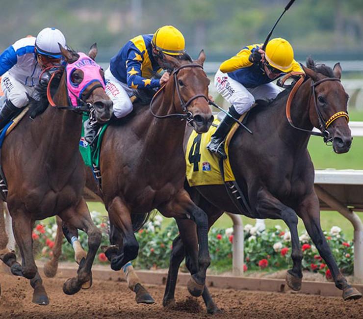 Del Mar Thoroughbred Club (DMTC)