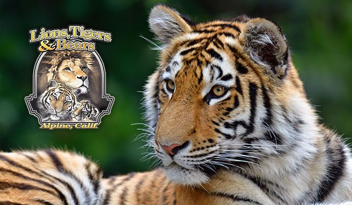 Wildlife Behind-the-Scenes Adventure