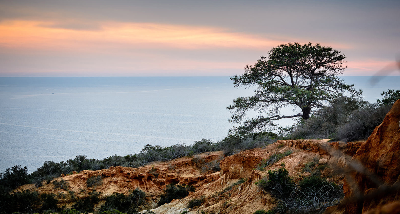 A Local's Guide to La Jolla California | The Lodge at Torrey Pines