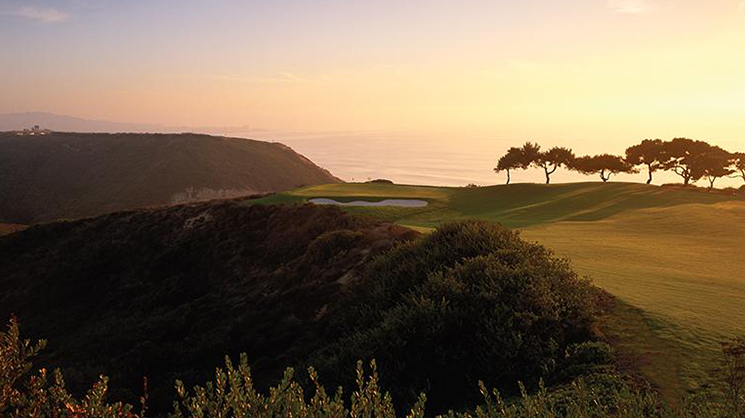 Torrey Pines golf course