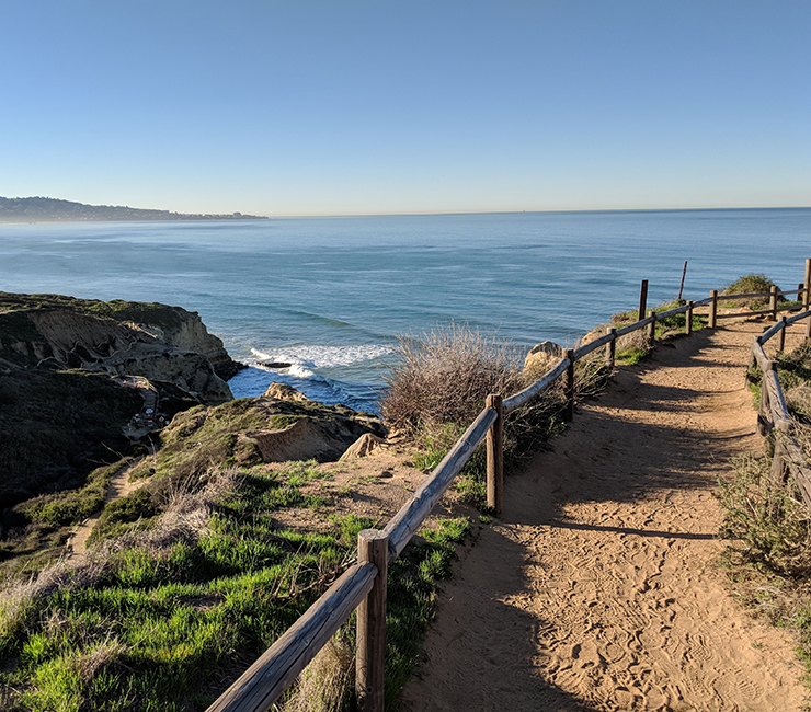 Self-guided hike through Torrey Pines Reserve
