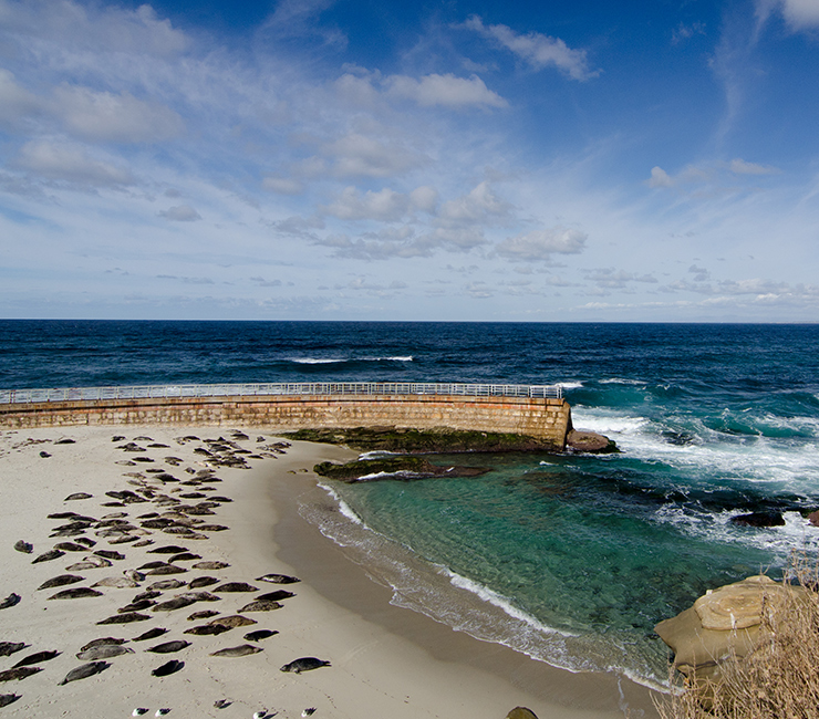 Children Pool in La Jolla