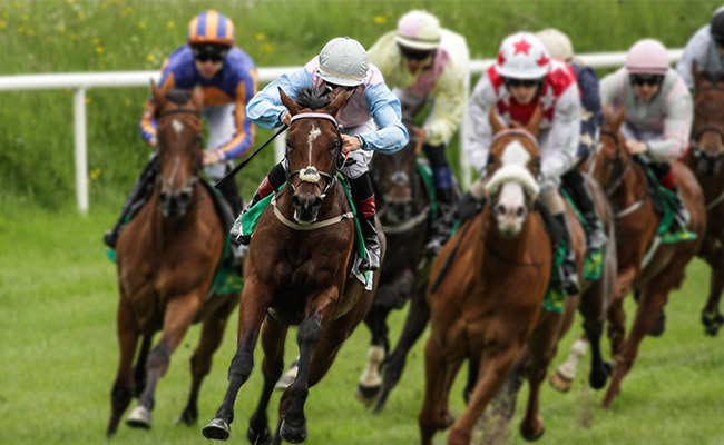 Horse Racing at the Del Mar Track one of the many post-Covid activities for your best summer getaway in San Diego