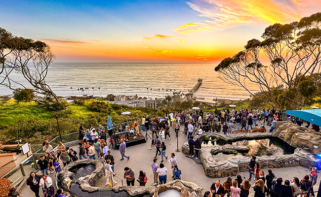 Aerial view of Birch Aquarium’s outdoor patio in La Jolla