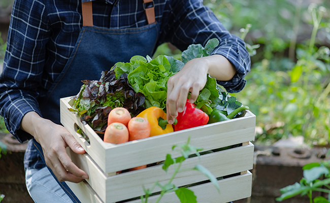 Community Harvest team building event at The Lodge at Torrey Pines