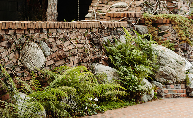 A low, curving wall at The Lodge at Torrey Pines featuring salvaged clinker bricks—quirky, non-uniform bricks popular in the Arts and Crafts movement—mixed with large stones and lush ferns.
