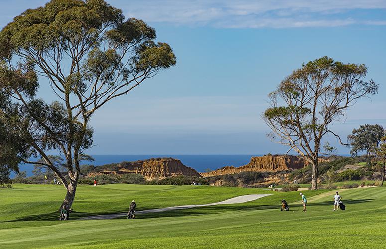 People playing golf overlooking the Pacific Ocean.